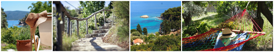 ALONISOS ISOLE SPORADI GRECIA affitti setrtimanali resort pensioni agriturismi  sul mare area protetta parco naturale maisonette bungalow sulla spiaggia villaggi mezza pensione pensione completa