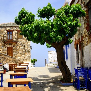 ALONISOS ALONISSOS  SPORADI organizziamo soggiorni vacanze in grecia nelle isole greche case con giardino appartamenti affitti estivi settimanali ville con piscina 